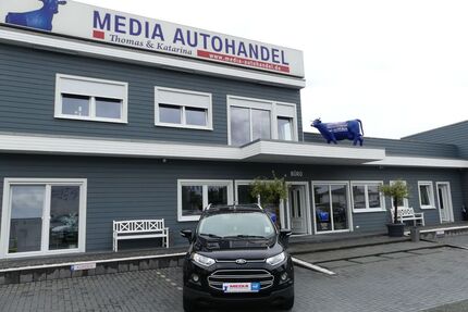 Ford EcoSport Gebrauchtwagen