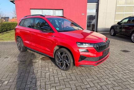 Skoda Karoq Gebrauchtwagen