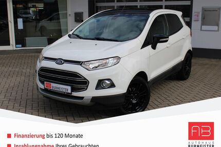 Ford EcoSport Gebrauchtwagen