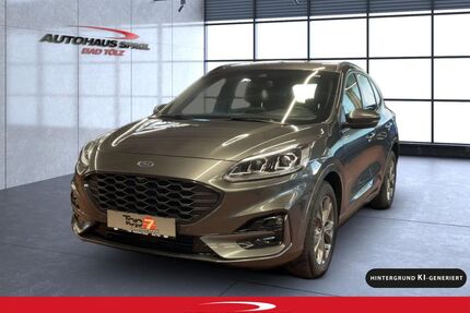 Ford Kuga Gebrauchtwagen