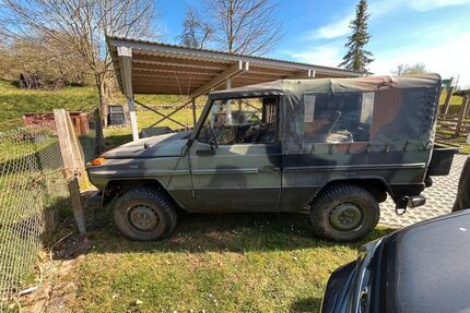 Mercedes-Benz G 250 Gebrauchtwagen