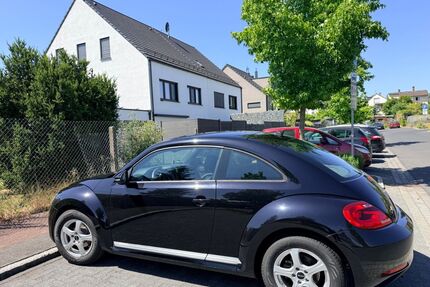 VW Beetle Gebrauchtwagen