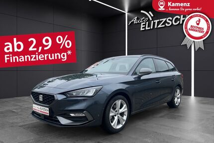 Ford Leon 