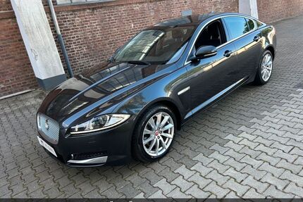 Jaguar XF Gebrauchtwagen