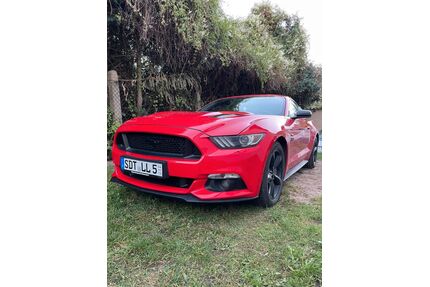 Ford Mustang Gebrauchtwagen
