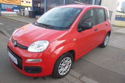 Fiat Panda Gebrauchtwagen
