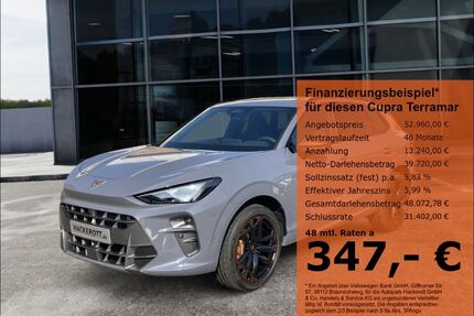 Cupra Terramar Gebrauchtwagen