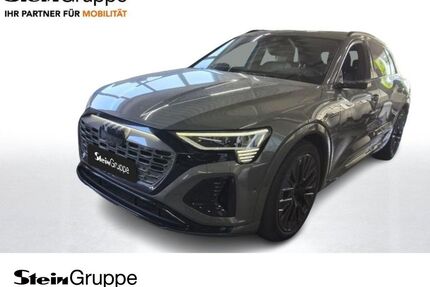 Audi Q8 e-tron Gebrauchtwagen