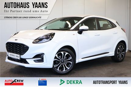 Ford Puma Gebrauchtwagen