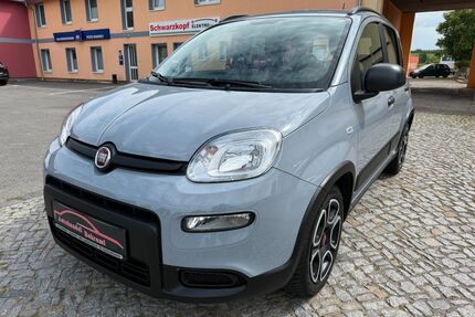Fiat Panda Gebrauchtwagen
