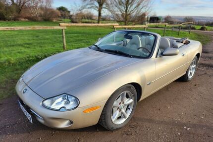 Jaguar XK8 Gebrauchtwagen