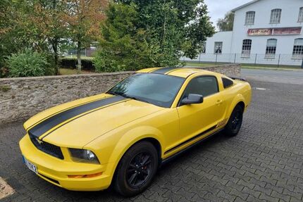 Ford Mustang Gebrauchtwagen