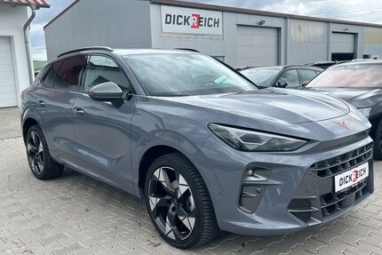Cupra Terramar Gebrauchtwagen