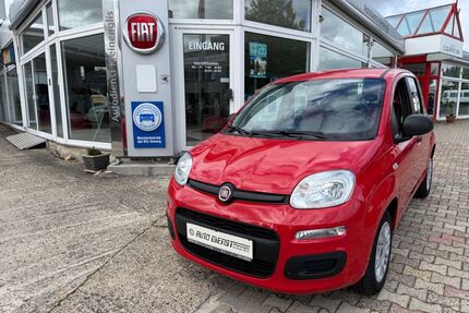 Fiat Panda Gebrauchtwagen