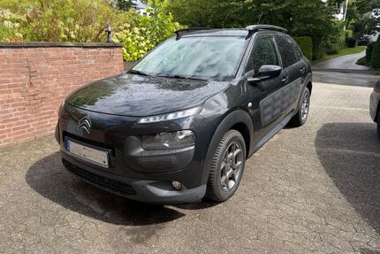 Citroen C4 Cactus Gebrauchtwagen