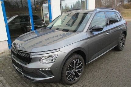 Skoda Kamiq Gebrauchtwagen