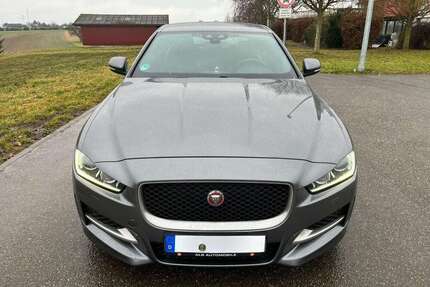 Jaguar XE Gebrauchtwagen