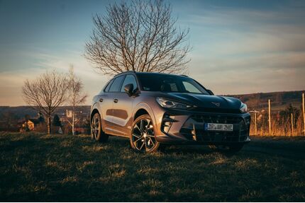 Cupra Terramar Gebrauchtwagen