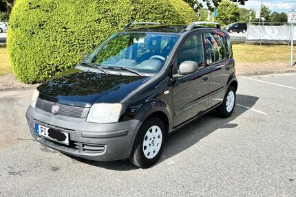 Fiat Panda Gebrauchtwagen