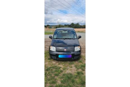 Fiat Panda Gebrauchtwagen