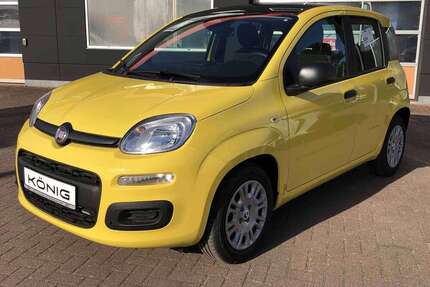 Fiat Panda Gebrauchtwagen