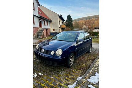 VW Polo Gebrauchtwagen