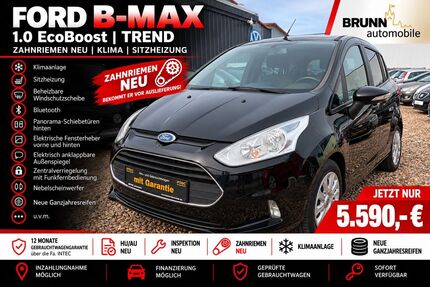 Ford B-Max Gebrauchtwagen