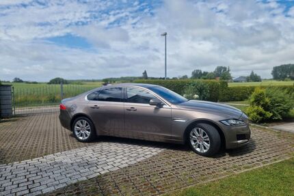 Jaguar XF Gebrauchtwagen