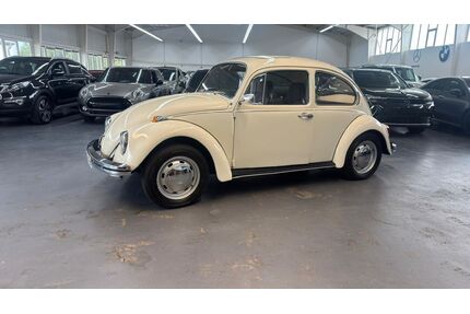 VW Käfer Gebrauchtwagen