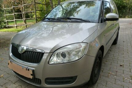 Skoda Roomster Gebrauchtwagen