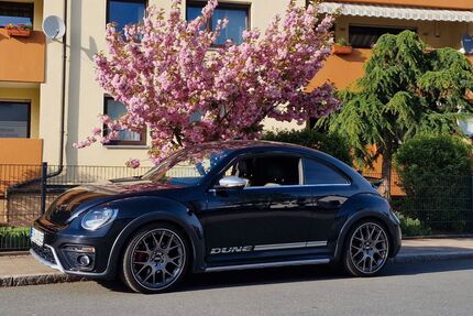 VW Beetle Gebrauchtwagen