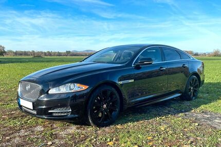 Jaguar XJ Gebrauchtwagen