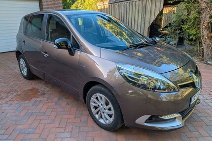 Renault Scenic Gebrauchtwagen