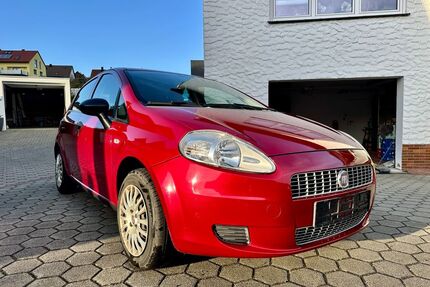 Fiat Punto Gebrauchtwagen