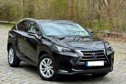 Lexus NX 300 Gebrauchtwagen