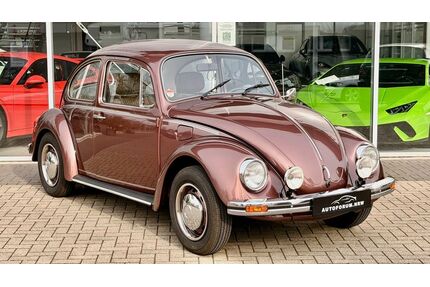 VW Käfer Gebrauchtwagen