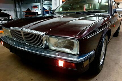 Jaguar XJ40 Gebrauchtwagen