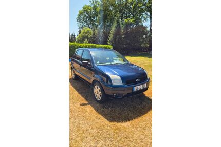 Ford Fusion Gebrauchtwagen