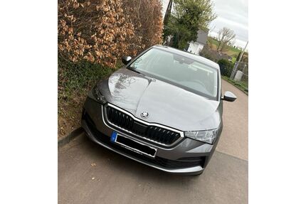 Skoda Scala Gebrauchtwagen