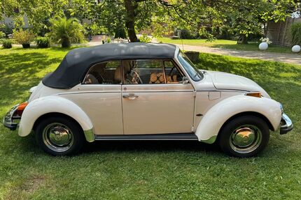 VW Käfer Gebrauchtwagen