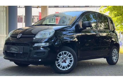 Fiat Panda Gebrauchtwagen