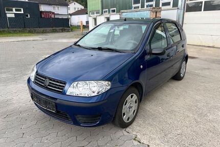 Fiat Punto Gebrauchtwagen