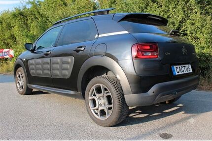 Citroen C4 Cactus Gebrauchtwagen