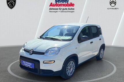 Fiat Panda Gebrauchtwagen
