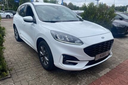 Ford Kuga Gebrauchtwagen