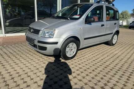 Fiat Panda Gebrauchtwagen