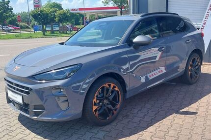Cupra Terramar Gebrauchtwagen