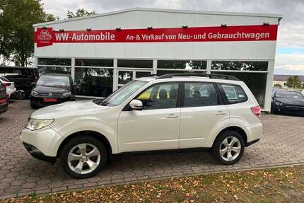 Subaru Forester Gebrauchtwagen