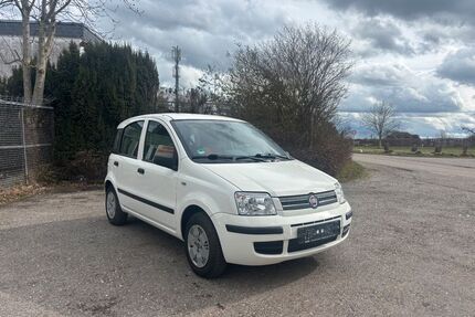 Fiat Panda Gebrauchtwagen