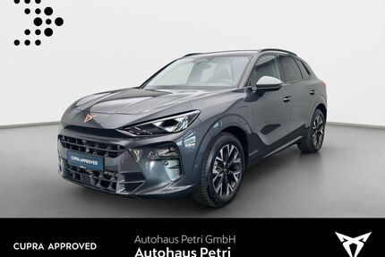 Cupra Terramar Gebrauchtwagen
